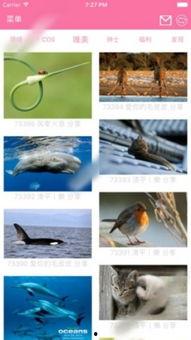 紳士之庭動(dòng)漫在線播放